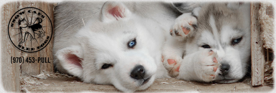 Breckenridge Summer Activities