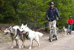 Breckenridge Colorado Summer Activities Scooter Tour