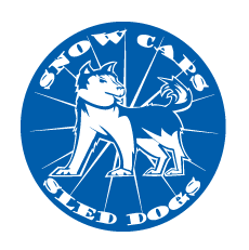 Best Things to do in Breckenridge